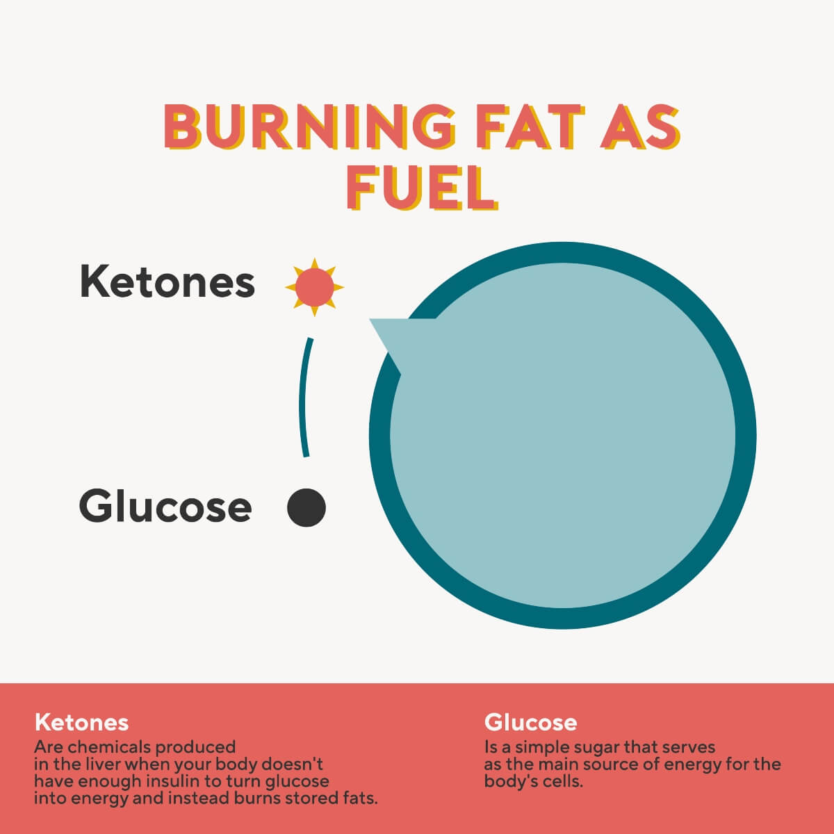 Roam Nut Butter Protein Keto LCHF Friendly
