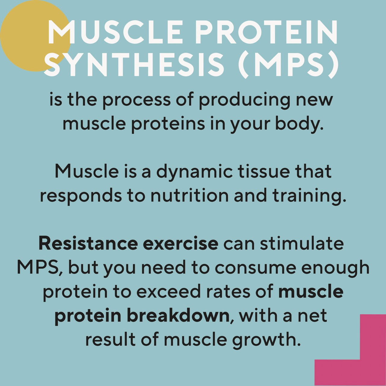 What is Muscle Protein Synthesis