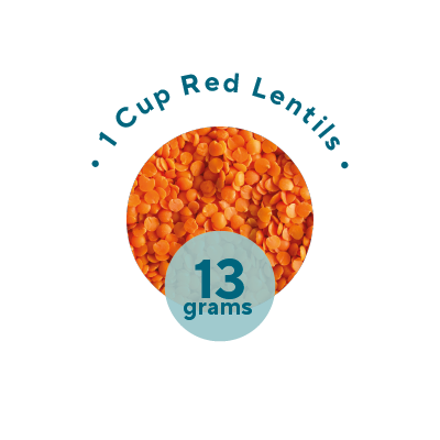 Protein content in red lentils Australia NZ