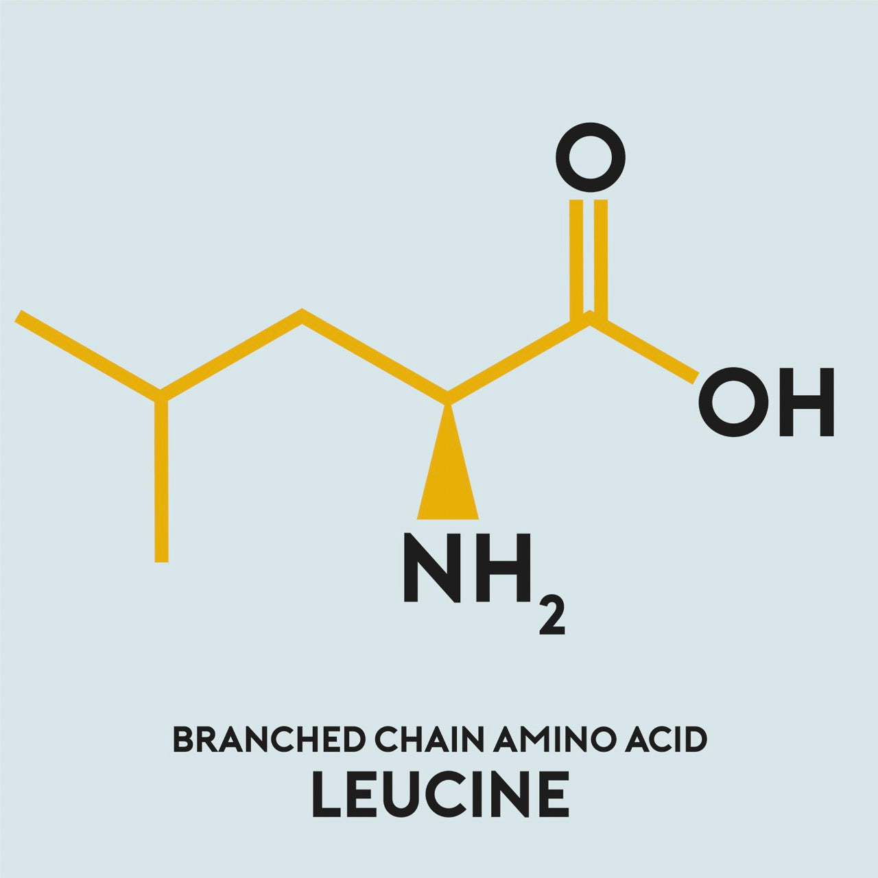 BCAA Leucine structure| Understanding Protein & role of amino acids