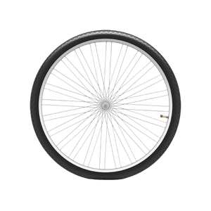 Bicycle Wheel