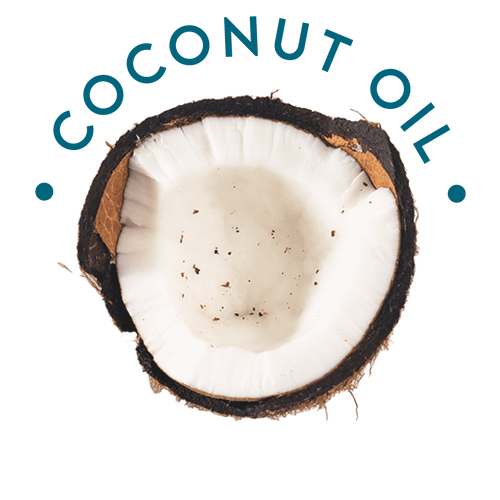 Coconut showing white flesh