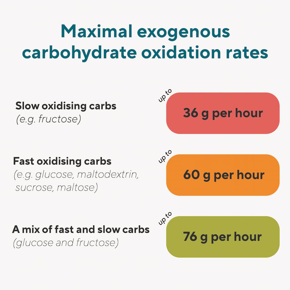 Maximal Exogenous Carb Oxidation Rates Comparison| Roam NZ AU