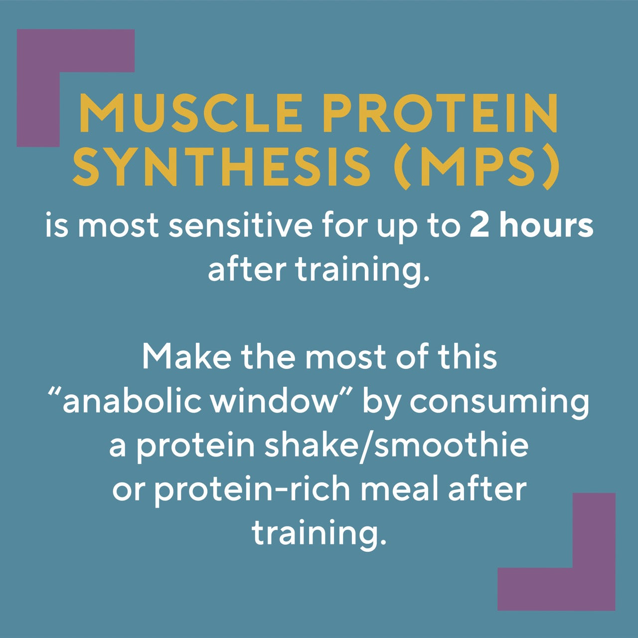 Muscle Protein Synthesis and the Anabolic Window