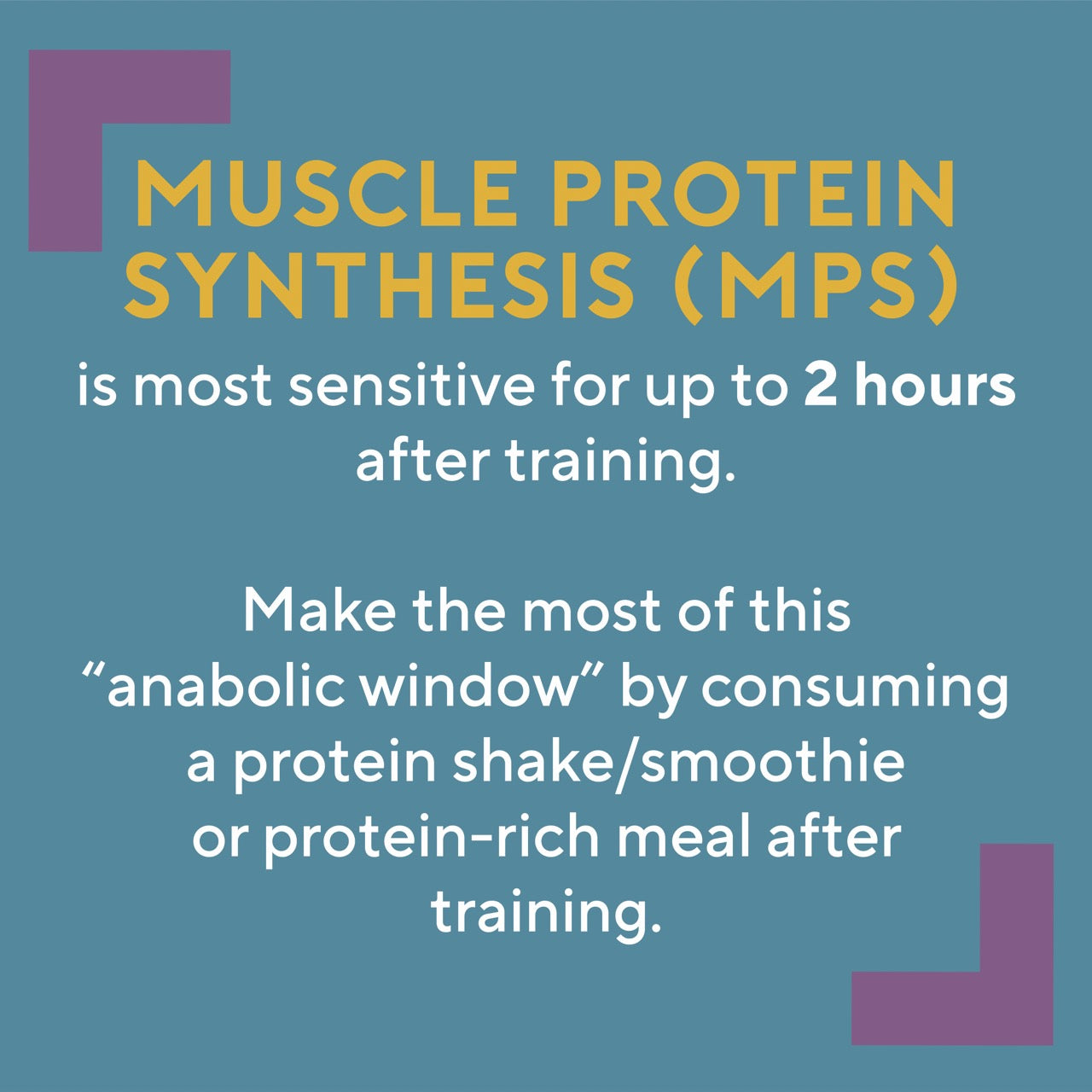 Muscle Protein Synthesis and the Anabolic Window