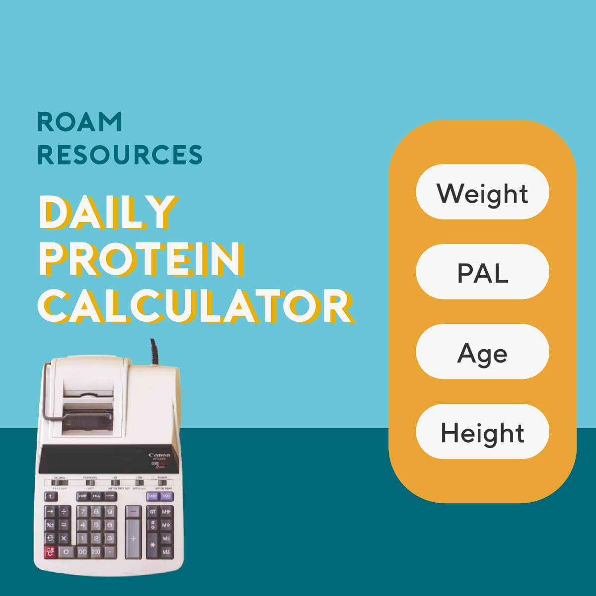 Protein Per Day Calculator Australia NZ