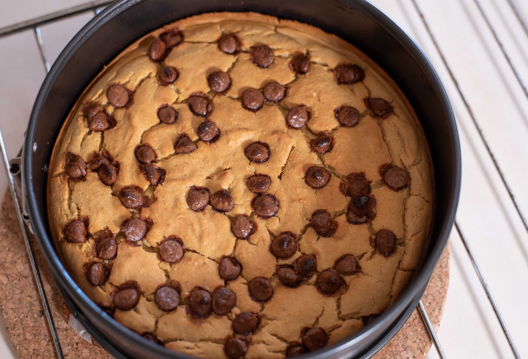 High Protein| Roam Vanilla Protein and Chickpea Cake |NZ Australia